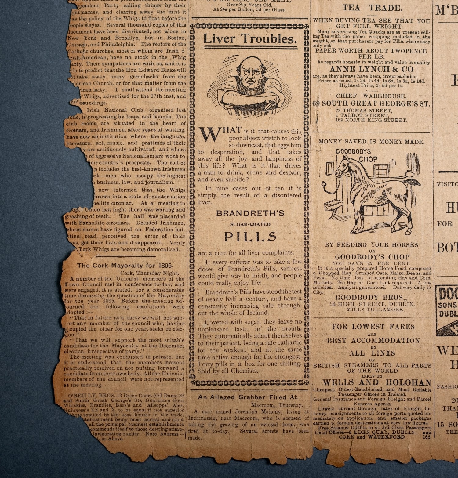 An ad for Brandreth's Pills in an 1894 Evening Herald newspaper