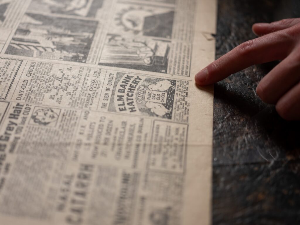A newspaper advert for Elmbank Hatchery