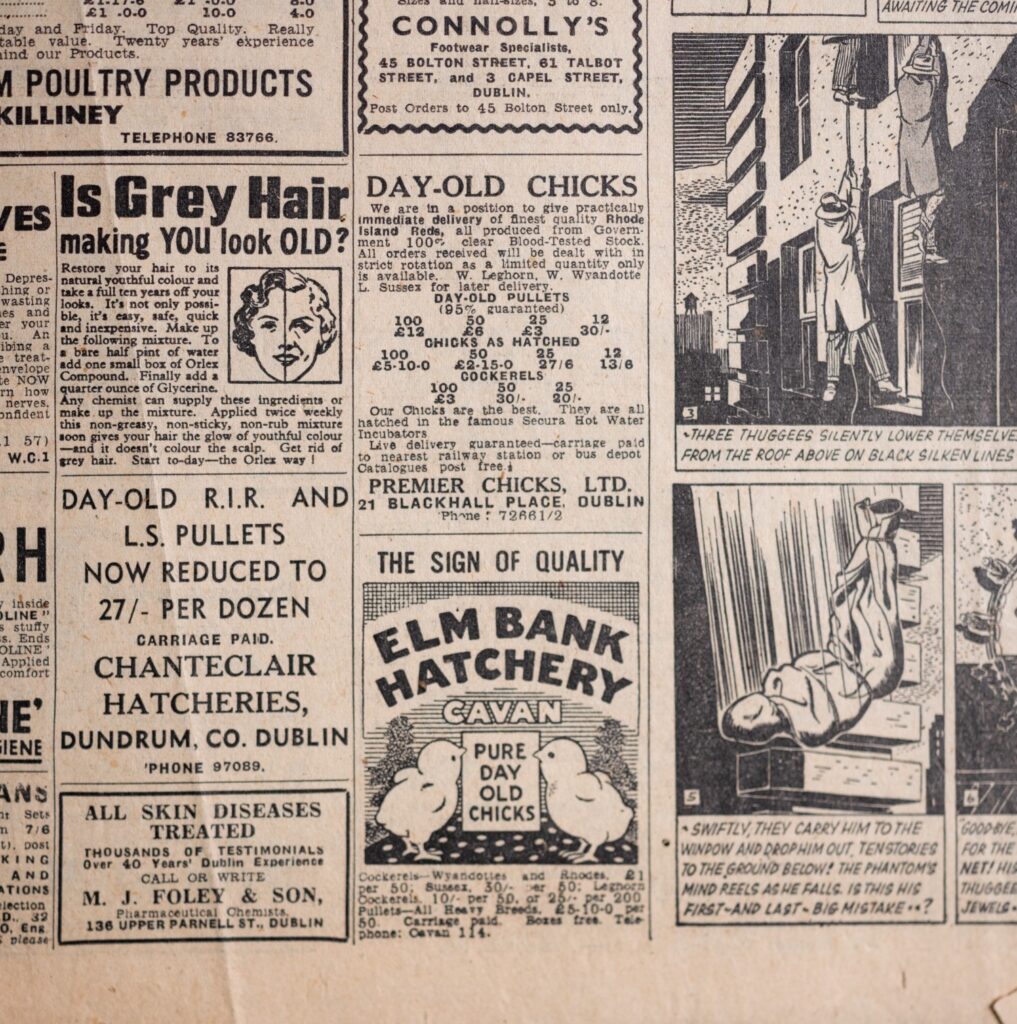 A newspaper advert for Elmbank Hatchery