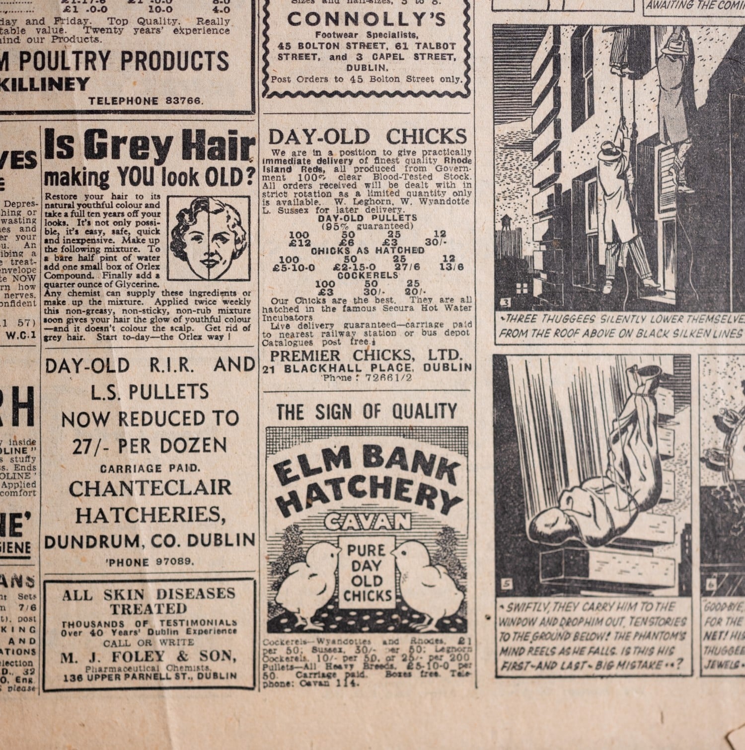 Elmbank hatchery open the archive A newspaper advert for Elmbank Hatchery